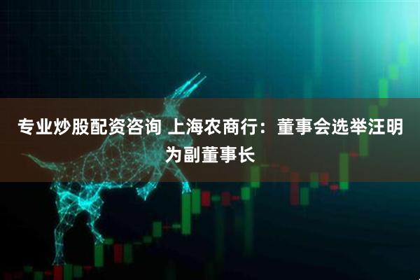专业炒股配资咨询 上海农商行：董事会选举汪明为副董事长