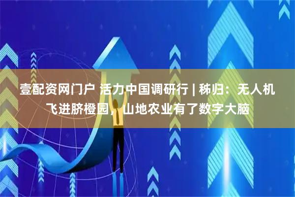 壹配资网门户 活力中国调研行 | 秭归：无人机飞进脐橙园，山地农业有了数字大脑